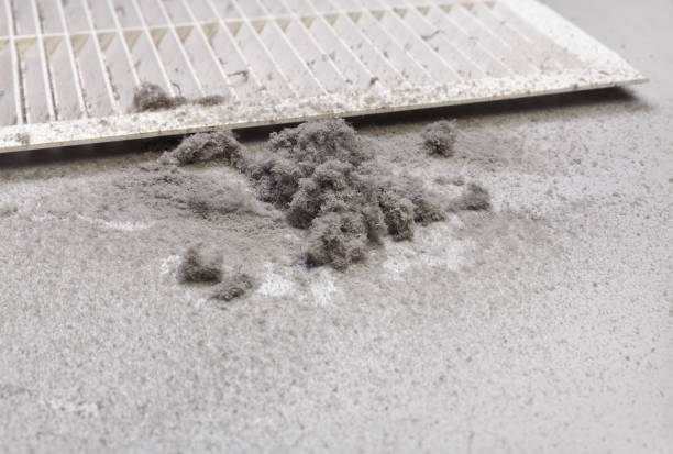 Best HVAC Air Duct Cleaning  in Pampa, TX