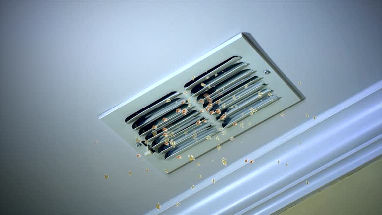 Best Air Duct Cleaning Near Me  in Pampa, TX